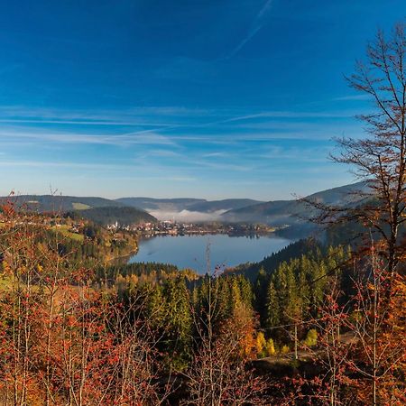 Ferienhaus Schwarzwaldstern, Todtnau, 3 Schlafzimmer Eksteriør billede