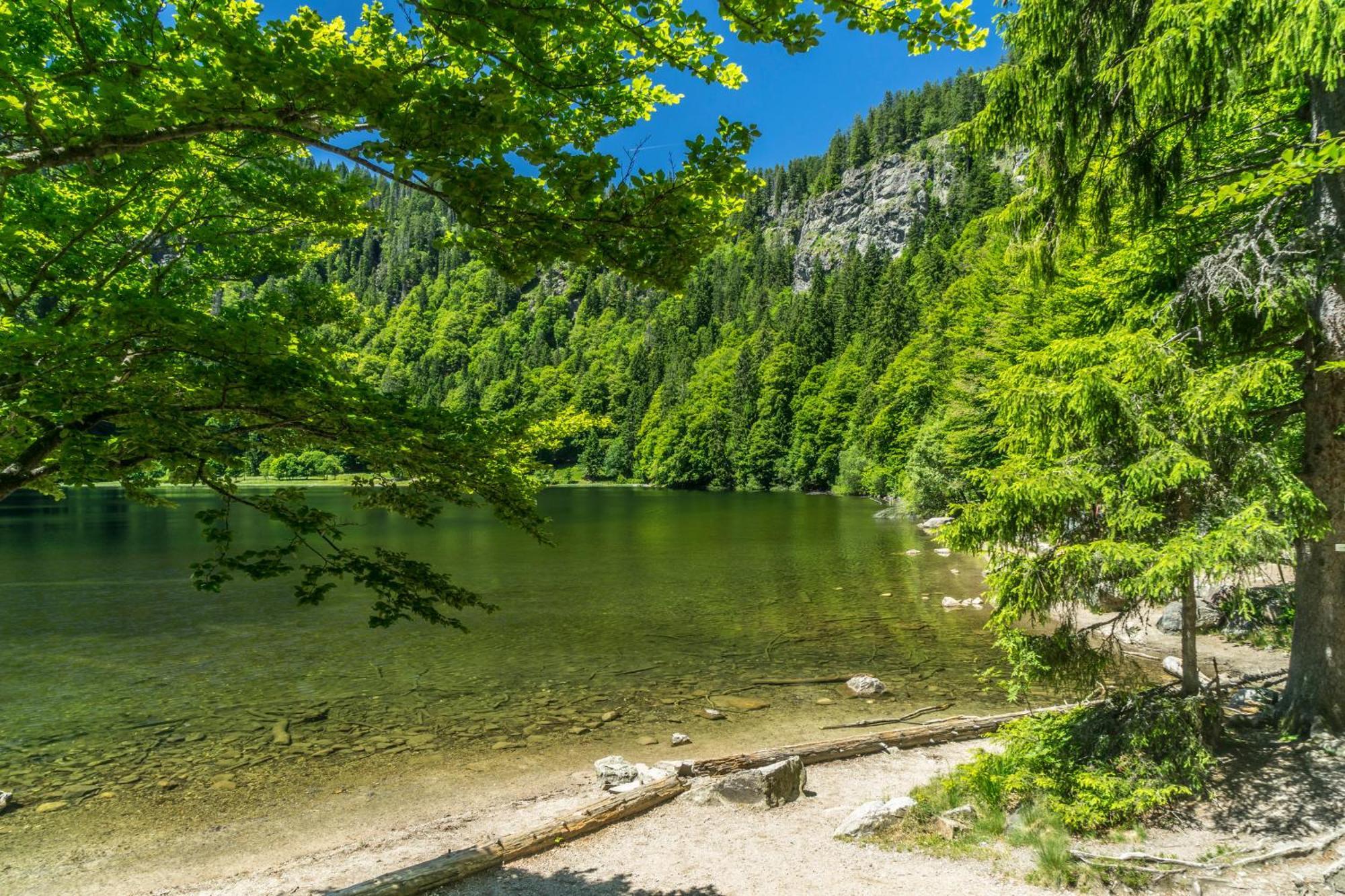 Ferienhaus Schwarzwaldstern, Todtnau, 3 Schlafzimmer Eksteriør billede